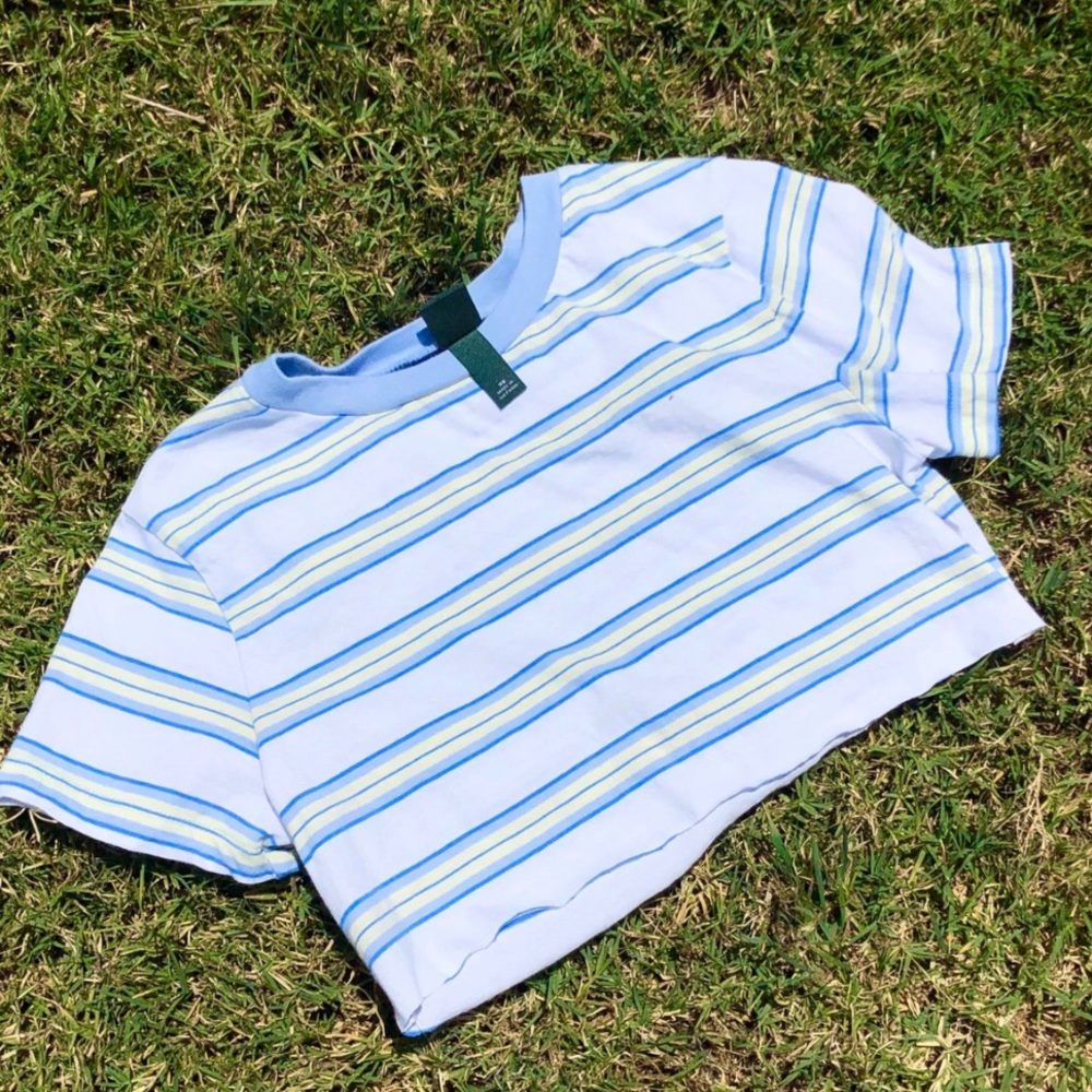 striped cropped baby tee